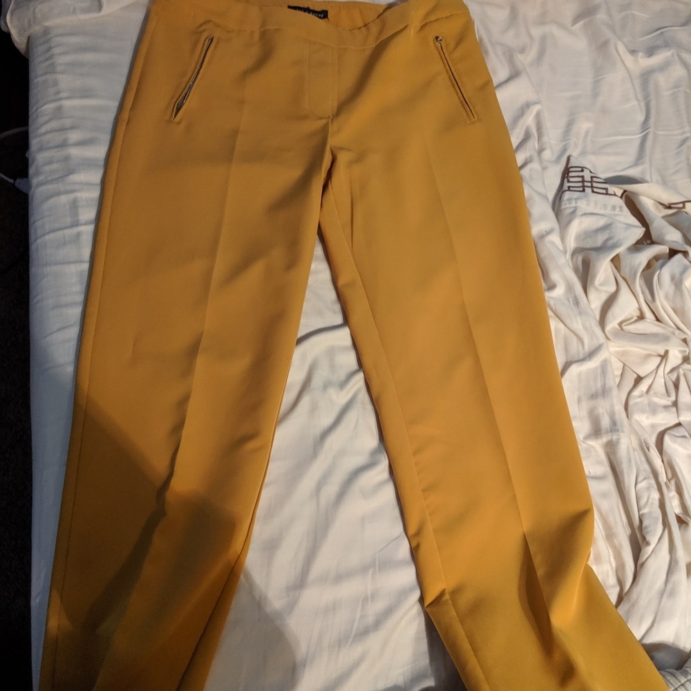 Gold dress pants. Steve and Ryan sz 10. Worn 2xs